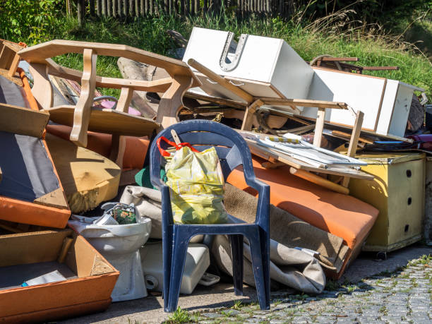 Best Hoarding Cleanup  in Geneseo, IL